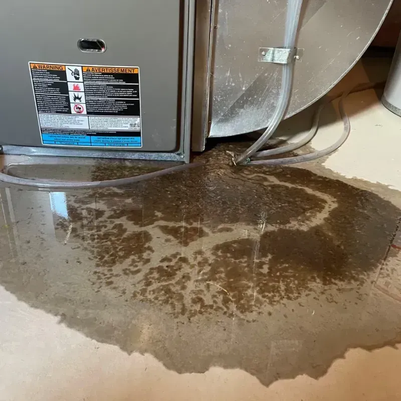 Appliance Leak Cleanup in Middlebush, NJ